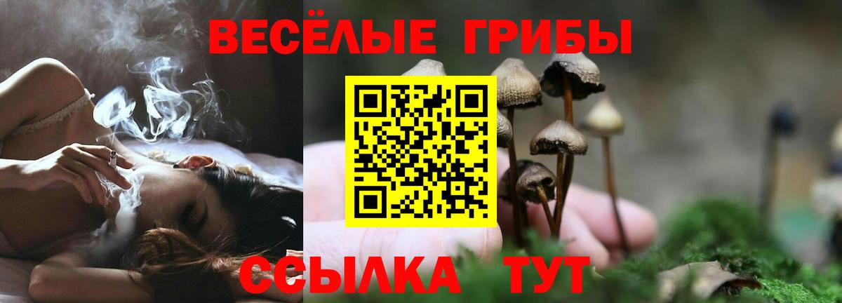 Псилоцибиновые грибы ЛСД Тамбов
